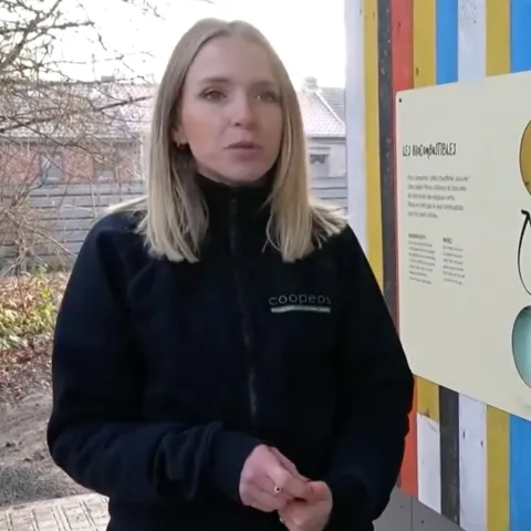 Quel Temps pour la Planète - À Frameries, une chaudière pas comme les autres réchauffe les bâtiments… et les consciences